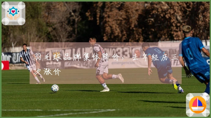 羽毛球品牌集体降价，去年经历三次涨价