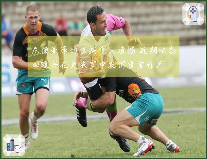 尼德豪泽的伤病令人遗憾 近期状态回暖并在更衣室中发挥重要作用